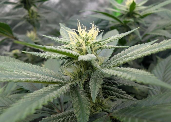 here we go again. Week 5