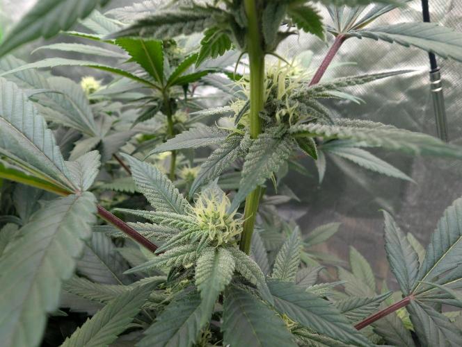 here we go again. Week 5