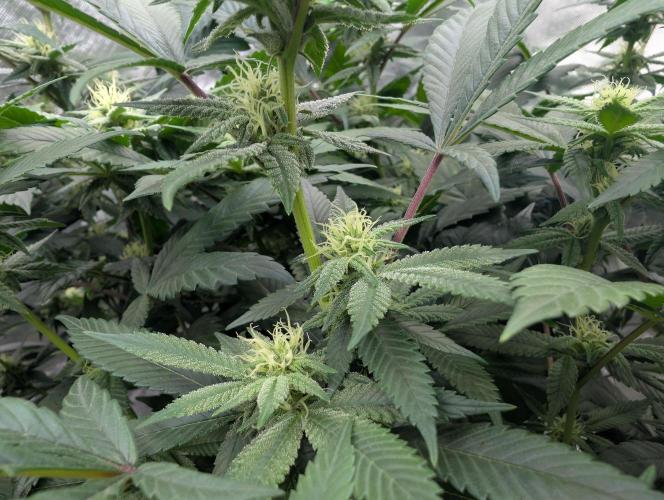 here we go again. Week 5