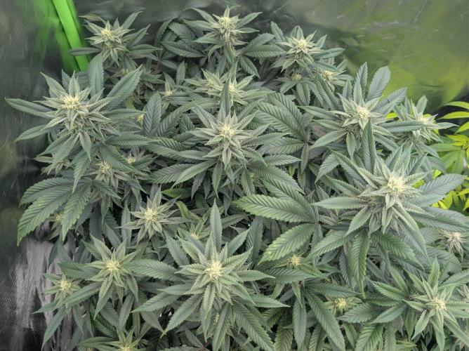 here we go again. Week 6