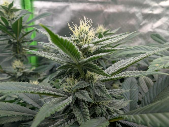 here we go again. Week 6