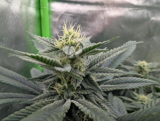 here we go again. Week 6