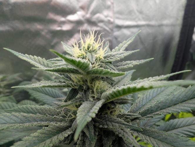 here we go again. Week 6