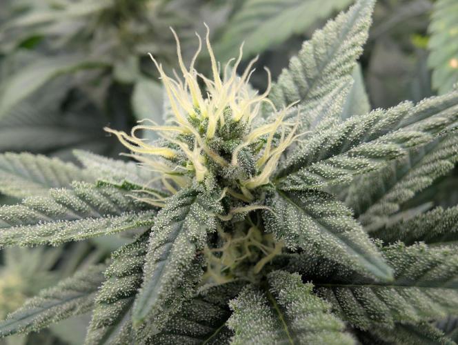 here we go again. Week 6