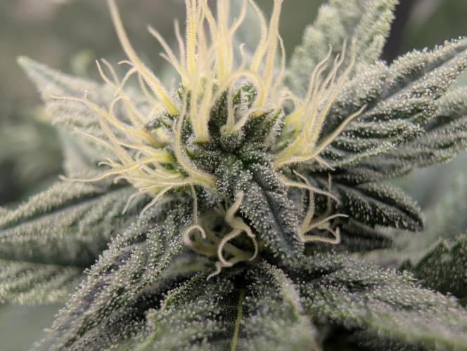 here we go again. Week 6