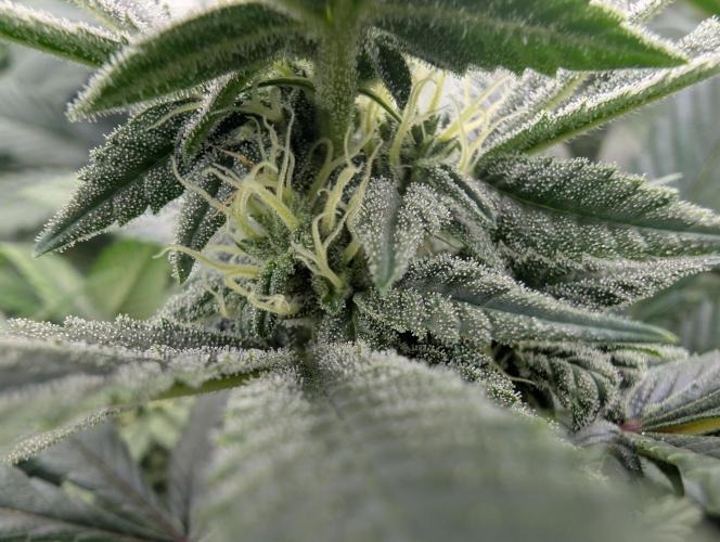 here we go again. Week 6