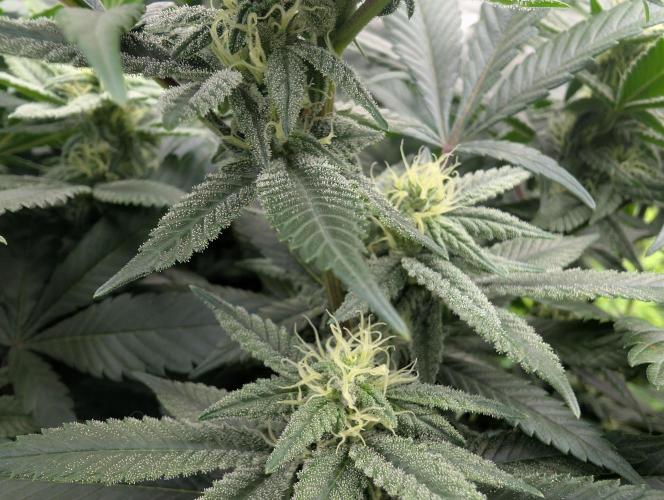 here we go again. Week 6