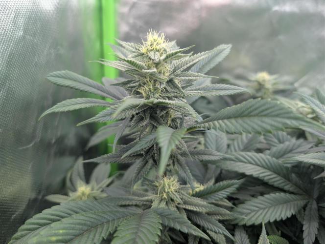 here we go again. Week 6