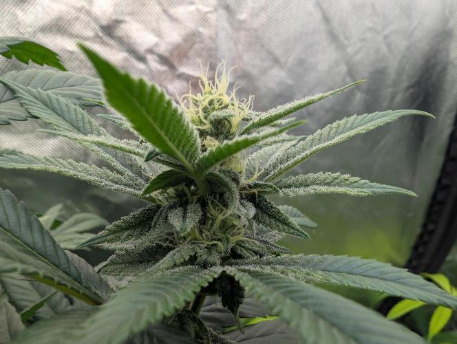 here we go again. Week 6