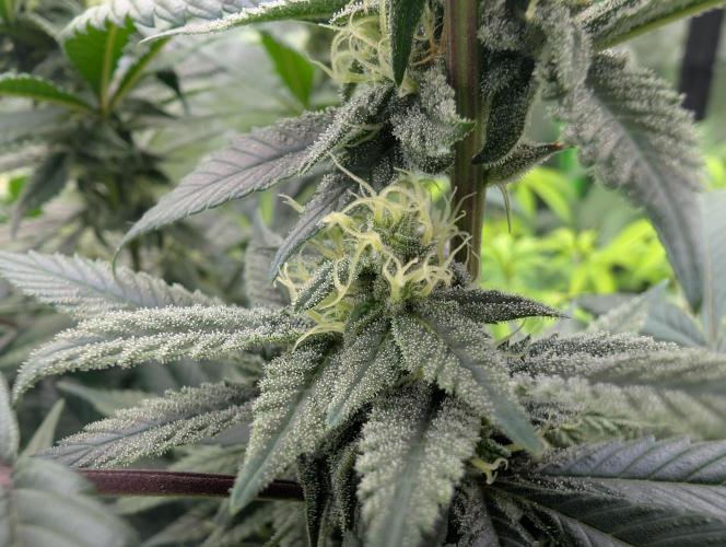 here we go again. Week 6