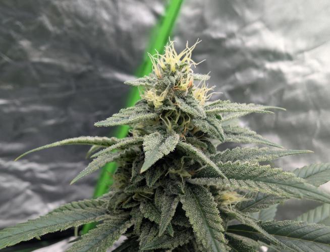 here we go again. Week 7