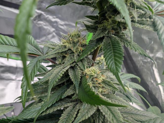 here we go again. Week 7