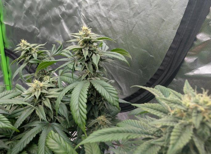 here we go again. Week 7