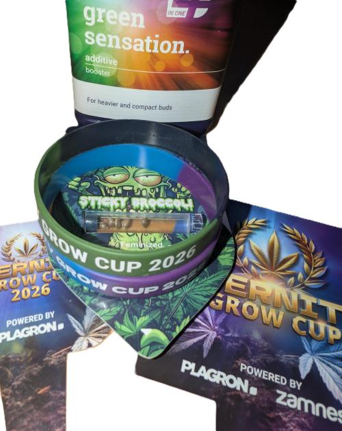 2026 to the Eternity. Week 0