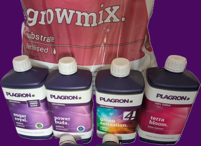 2026 to the Eternity. Week 0