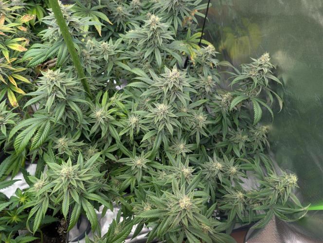 here we go again. Week 8