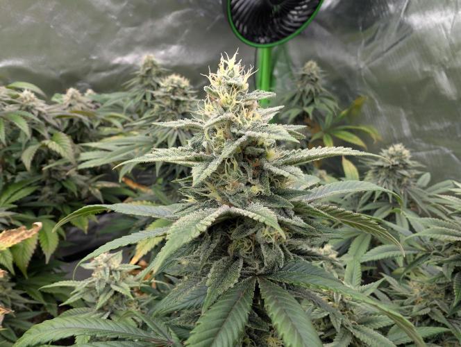 here we go again. Week 8