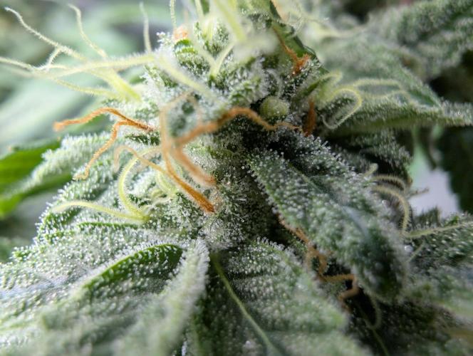 here we go again. Week 8