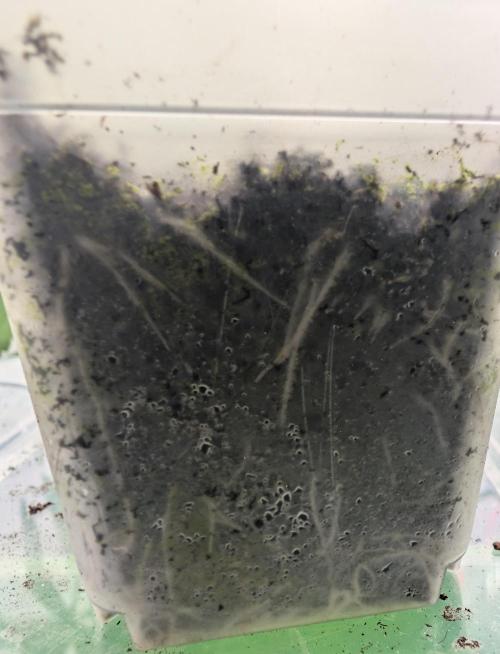 2026 to the Eternity. Week 1