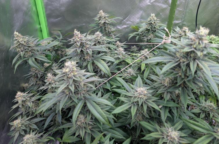 here we go again. Week 9