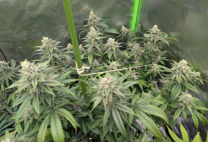 here we go again. Week 9