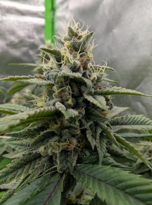 here we go again. Week 9