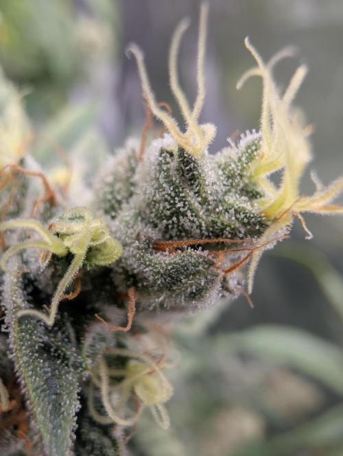 here we go again. Week 9