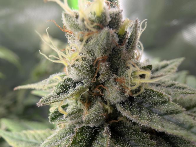 here we go again. Week 9