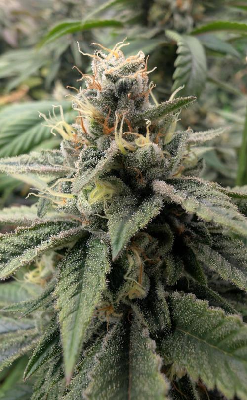 here we go again. Week 9