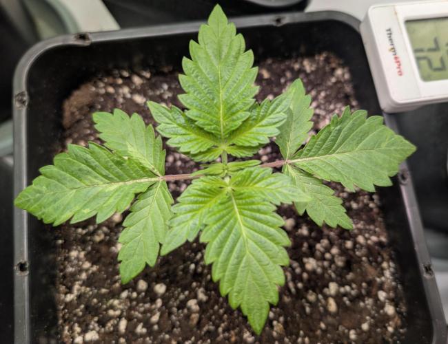 2026 to the Eternity. Week 2