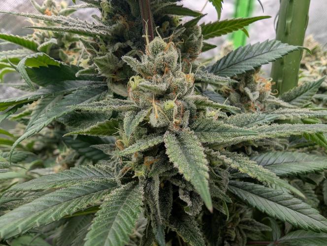 here we go again. Week 10