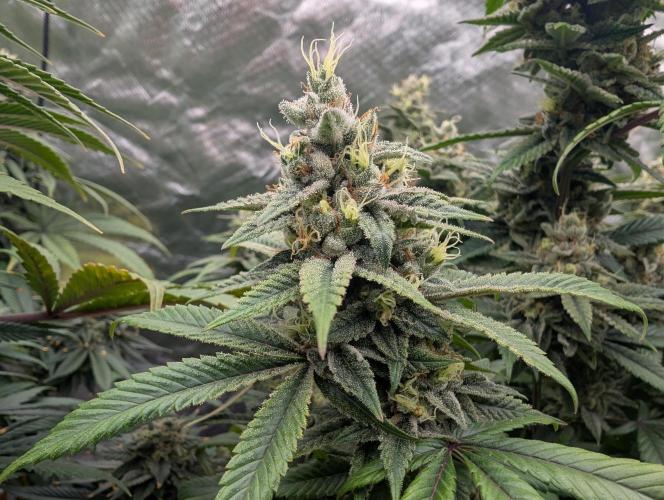 here we go again. Week 10