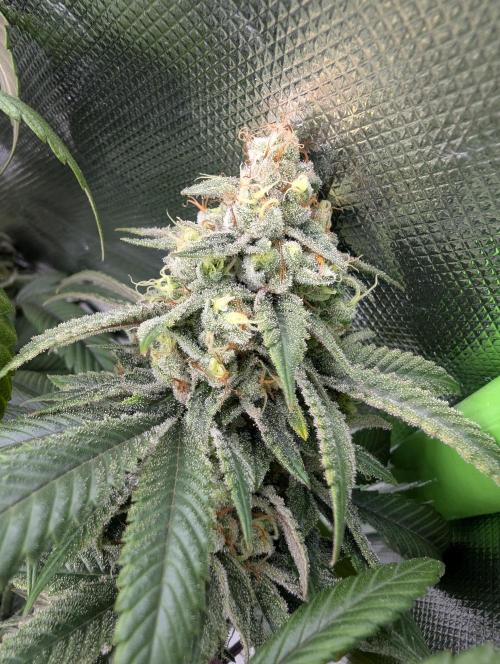 here we go again. Week 10