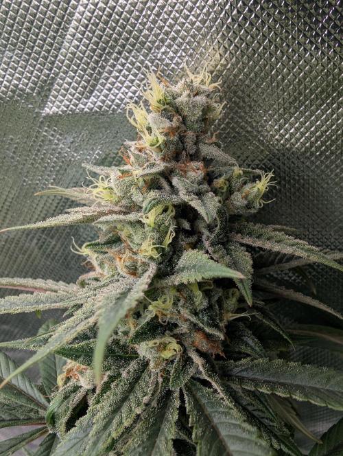 here we go again. Week 10