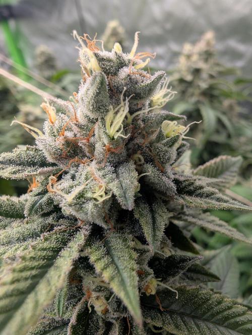 here we go again. Week 10