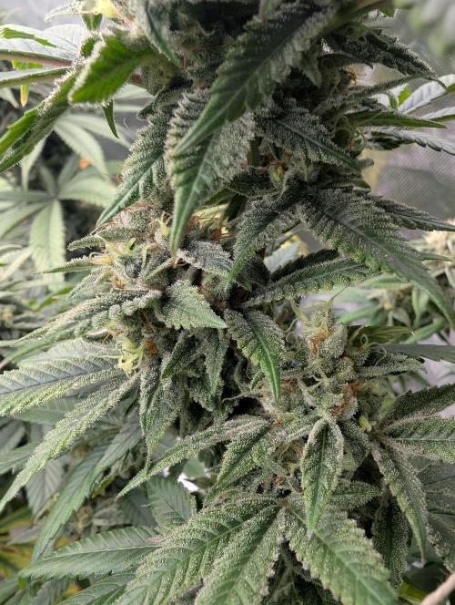 here we go again. Week 10