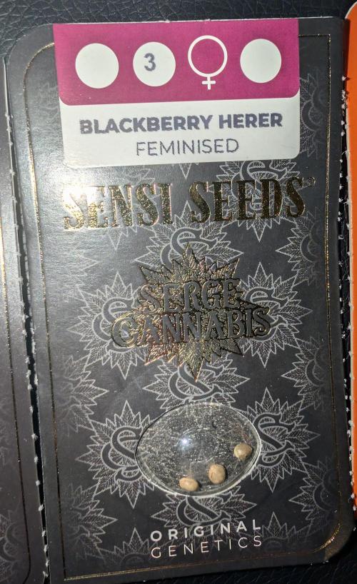 Blackberry Herer. Week 0