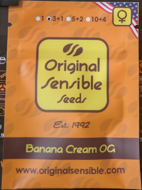 OG Nana. Week 0