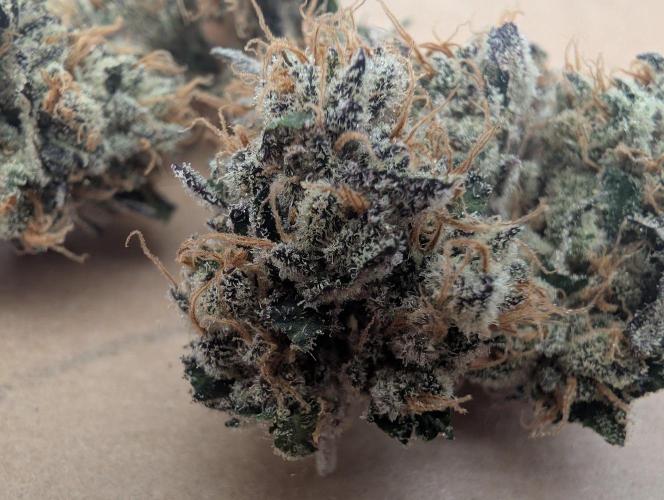 double cherry. Week 21