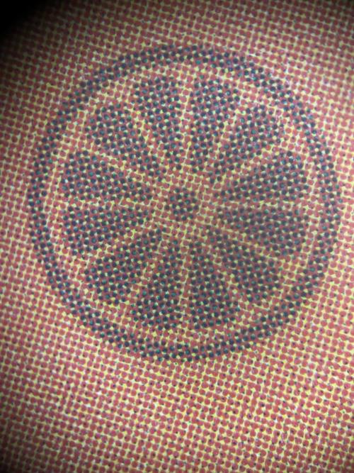 Positronics Seeds Testgrow (Eyva-Run). Week 0