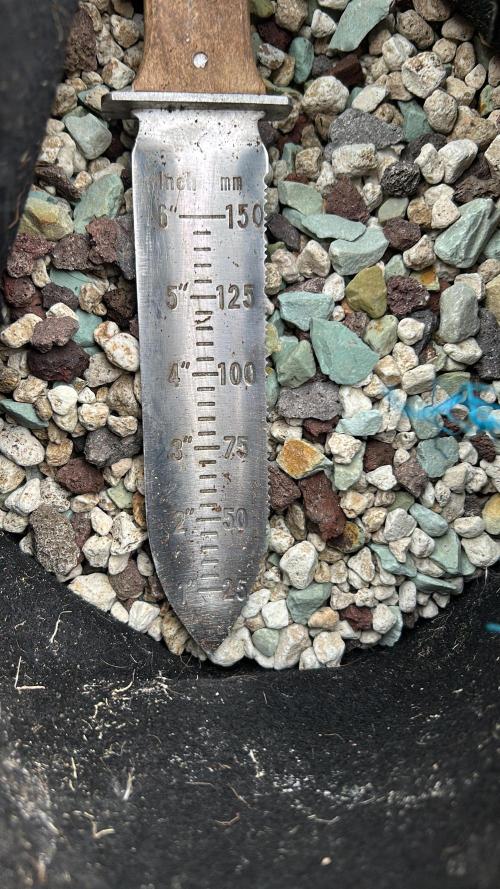 Positronics Seeds Testgrow (Eyva-Run). Week 0