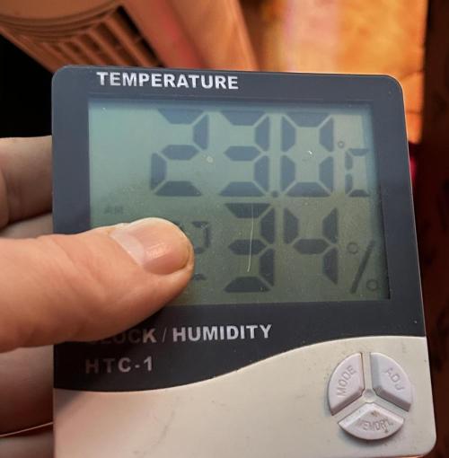 Positronics Seeds Testgrow (Eyva-Run). Week 0