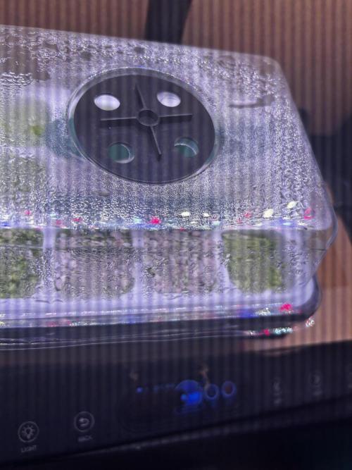 GanjaFarmer SponsorGrow. Week 0