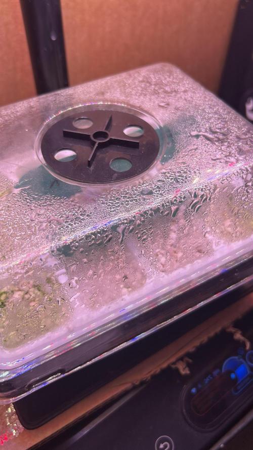 GanjaFarmer SponsorGrow. Week 0