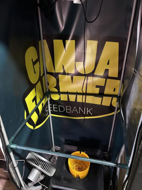 GanjaFarmer SponsorGrow. Week 2