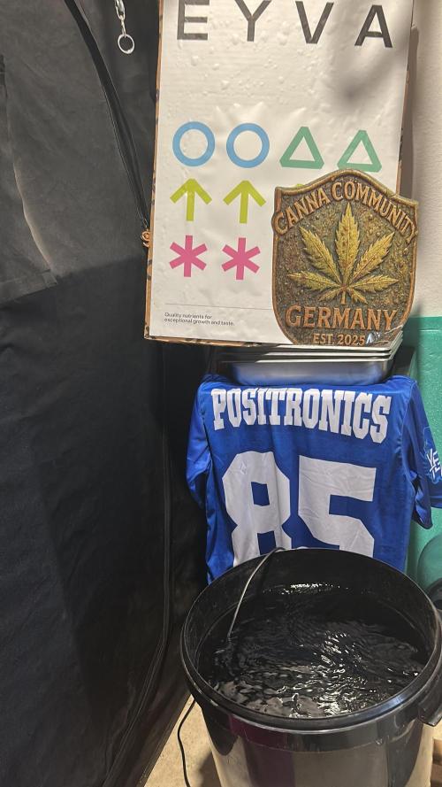 Positronics Seeds Testgrow (Eyva-Run). Week 9