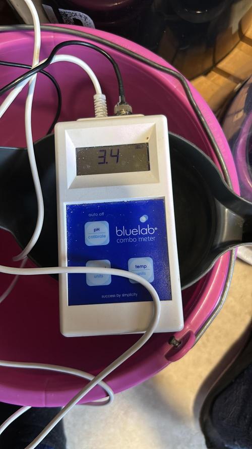 Positronics Seeds Testgrow (Eyva-Run). Week 10