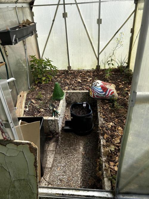 Gelato Grow. Week 0 - Gewächshaus war auch schon mal ordentlicher…