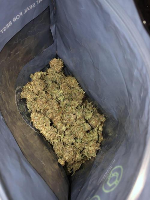 Mimosa and Critical Orange | 4 Autos. Week 11