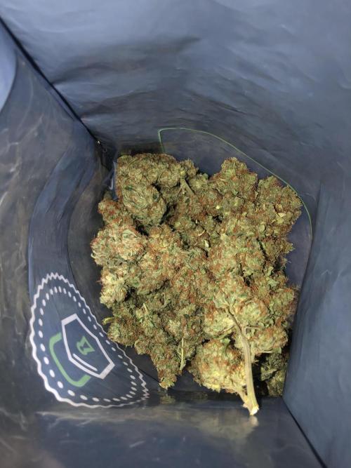 Mimosa and Critical Orange | 4 Autos. Week 11